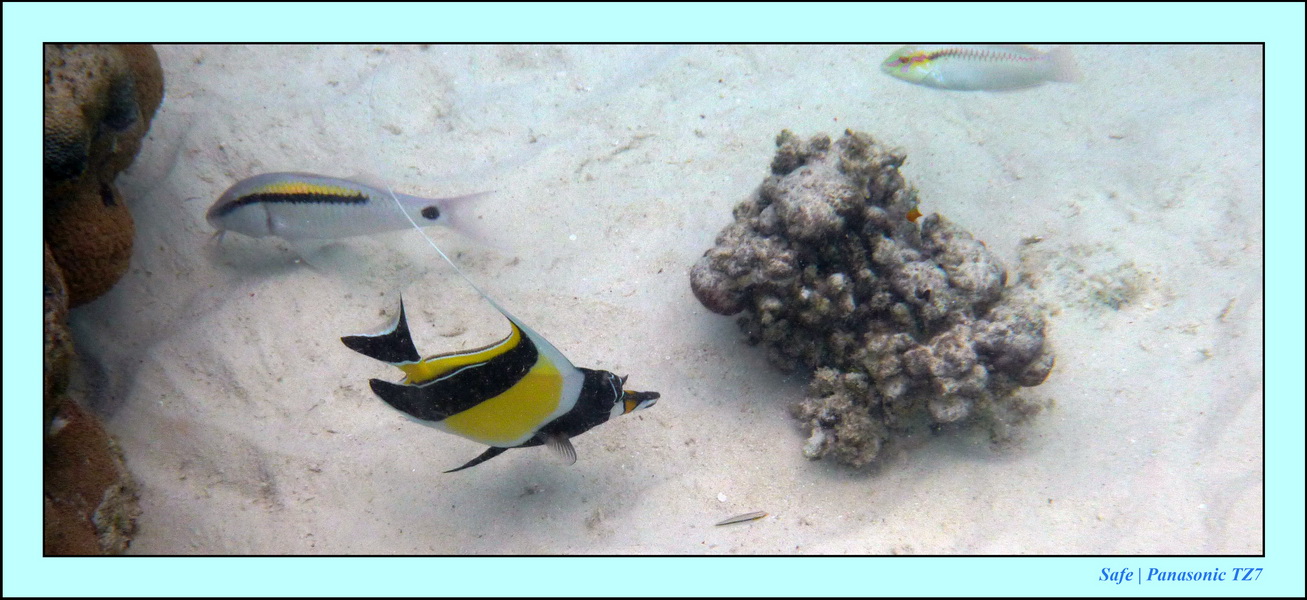 2009   07   Matakin 52